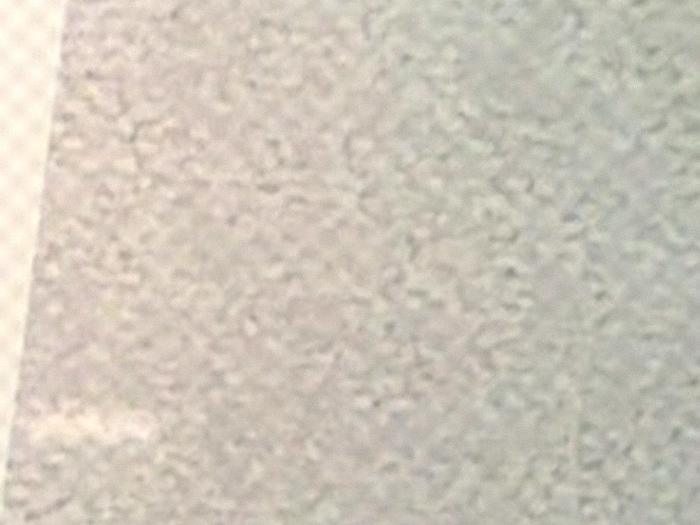 Pacific Grove carpet swatch