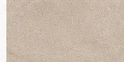 Latte color